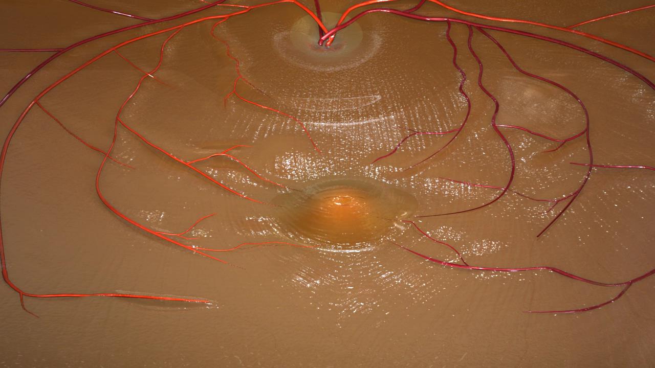 Macular: PED  EYETECH